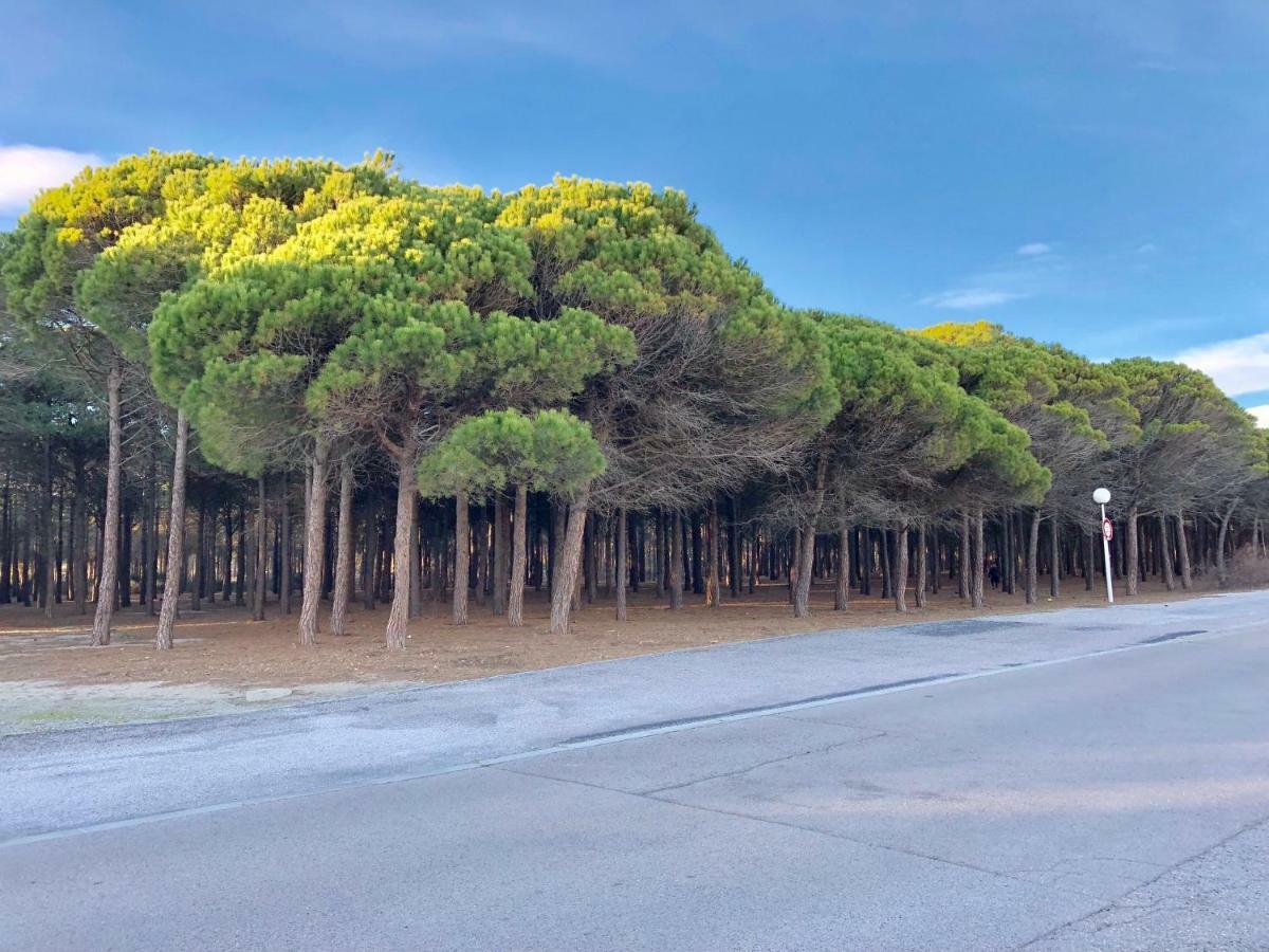 Barcaresa-Villa Vue Mer Acces Direct Plage - Piscine Le Barcarès Eksteriør bilde